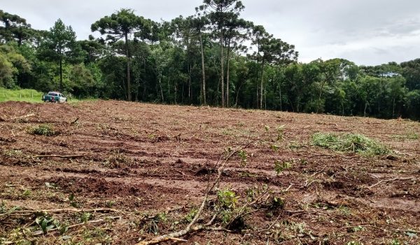 Polícia Ambiental atende denúncia de destruição de vegetação na localidade de Vieiras