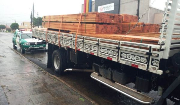 Polícia Ambiental apreende caminhão carregado de madeira na BR 277, em Palmeira