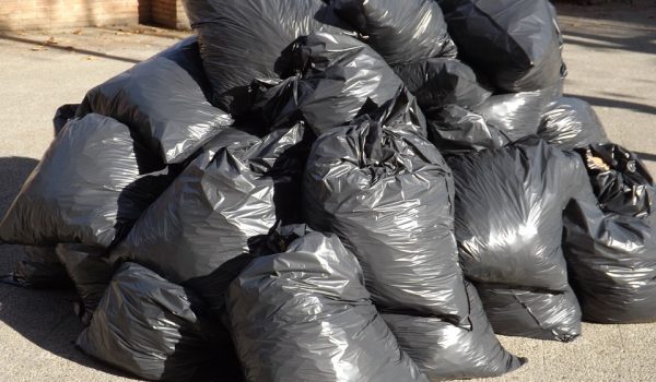 Empresa coleta semanalmente 160 toneladas de lixo reciclável em Palmeira