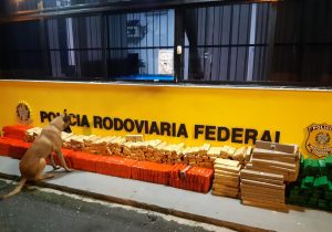 PRF apreende mais de meia tonelada de maconha em Porto Amazonas