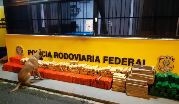 PRF apreende mais de meia tonelada de maconha em Porto Amazonas