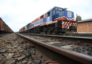 Equipe técnica faz estudos para passagem de linha férrea em Palmeira