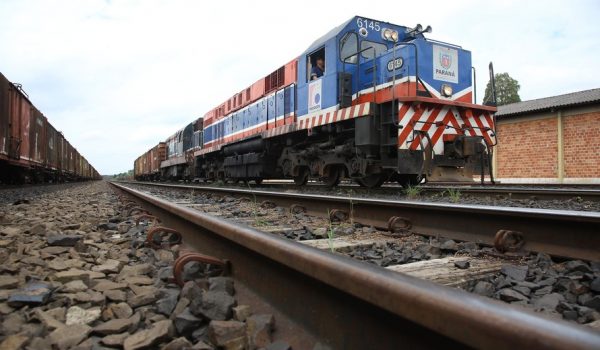 Equipe técnica faz estudos para passagem de linha férrea em Palmeira