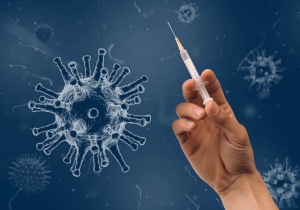Secretaria de Saúde informa que aplicou 812 doses de vacina contra a Covid-19 em Palmeira 