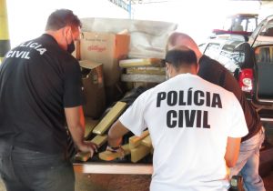 Polícia Civil incinera quase 500 quilos de drogas apreendidas em Palmeira