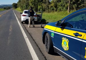 PRF realizou duas grandes apreensões de maconha neste fim de semana