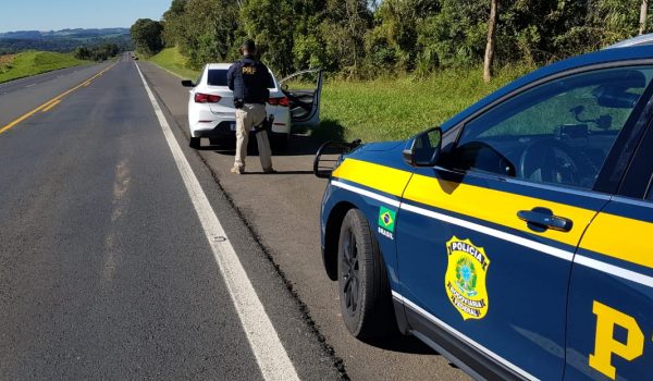 PRF realizou duas grandes apreensões de maconha neste fim de semana