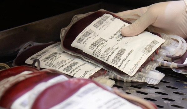 Hemepar reformula aplicativo de cadastro para doação de sangue