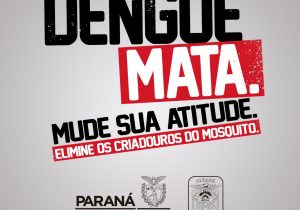 Boletim da Dengue confirma mais 61 casos no Paraná