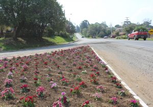 Meio Ambiente realiza plantio de 2,5 mil flores e limpeza do Parque do Museu