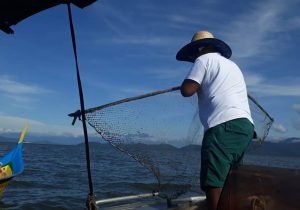 Piracema inicia no Paraná na próxima segunda-feira (1°)