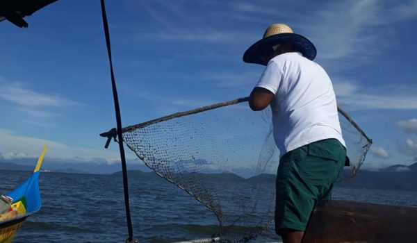 Piracema inicia no Paraná na próxima segunda-feira (1°)