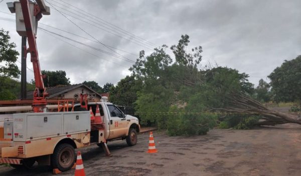 Copel já atendeu mais de 20 mil ocorrências após o temporal