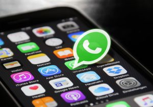 Delegacia de Palmeira enfatiza o uso do canal de denúncia via WhatsApp