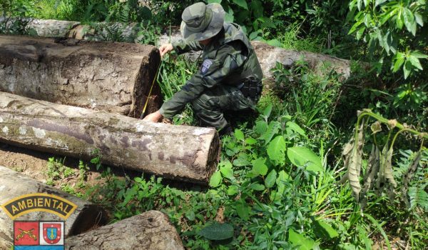 Após constatar infrações, Polícia Ambiental aplica multa de R$ 112 mil no interior de Palmeira