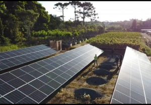 Usina fotovoltaica é instalada no Viveiro Porto Amazonas 