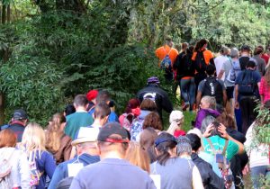 Representante do IDR Paraná fala sobre a definição do roteiro da  2ª Caminhada Internacional na Natureza em Palmeira