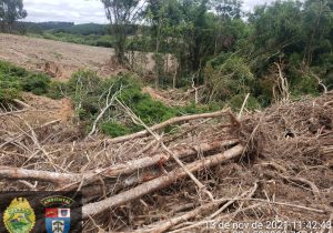 Polícia ambiental atende denúncia de destruição de 23,30 hectares de vegetação nativa em Pinheiral de Cima