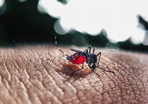 Coordenadora de Endemias orienta sobre sinais de dengue e febre amarela