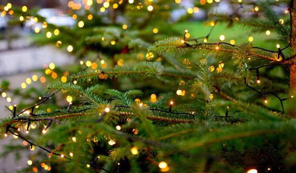 Confira dicas para evitar acidentes com luzes de Natal