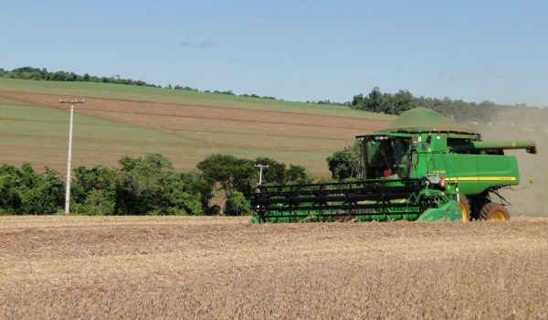 Copel orienta agricultores sobre prevenção de acidentes na colheita e plantio