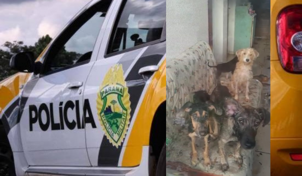 Polícia Militar atende denúncias de maus tratos a animais no bairro Sol Nascente