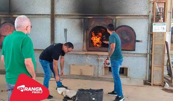 Polícia Civil realiza incineração de aproximadamente 69 quilos de maconha