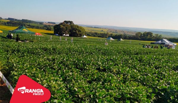 Colégio Agrícola de Palmeira realiza Dia de Campo em parceria com a Intec Agrícola