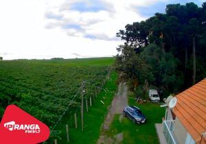 Vinícola Wendler: Conheça a história da primeira fábrica de vinho de Palmeira