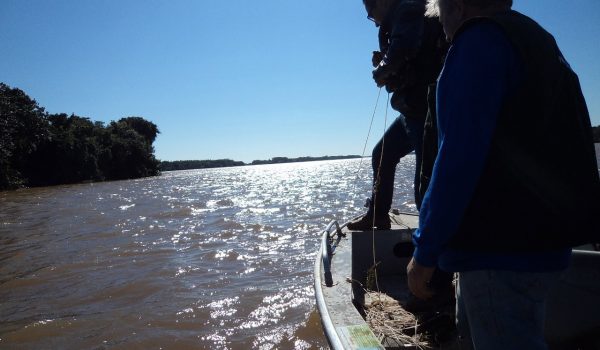 Termina hoje (28) a Piracema e a pesca passa a ser liberada no Paraná