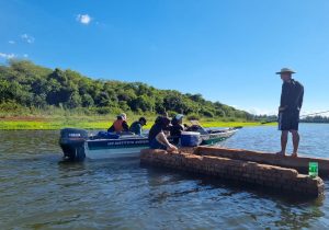 Paraná conclui a Piracema após cinco forças-tarefas de fiscalização e soltura de mais 770 mil peixes nativos