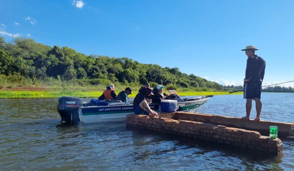 Paraná conclui a Piracema após cinco forças-tarefas de fiscalização e soltura de mais 770 mil peixes nativos