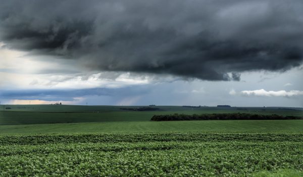 Chuva fica abaixo da média em fevereiro no Paraná, aponta o Simepar