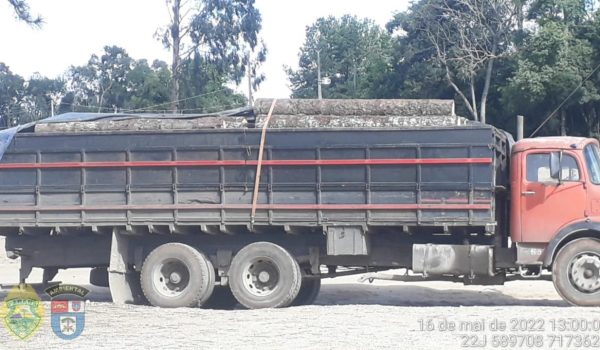 Polícia Ambiental apreende caminhão transportando toras de araucária irregularmente em Palmeira