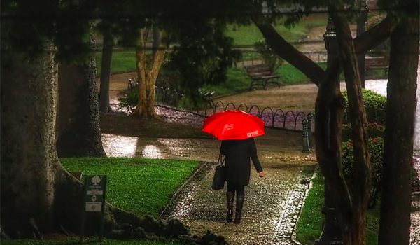 Com chuvas intensas no Paraná, Saúde alerta para riscos de leptospirose