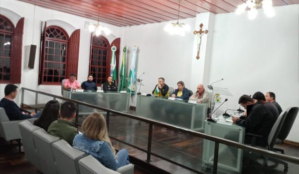 Reunião entre vereadores e Legislativo Municipal discutiu contratação de médicos pelo município