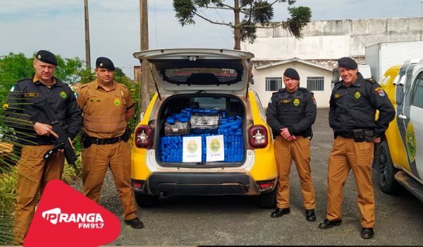 Polícia Militar apreende mais de 300 quilos de maconha no interior de Palmeira