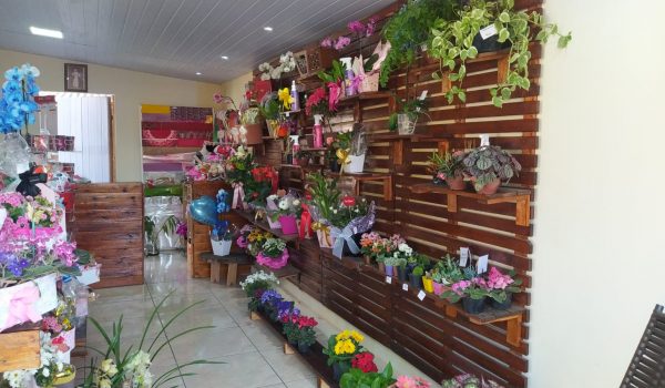 Dia do Florista comemora os profissionais que transformam flores em arte e sentimentos