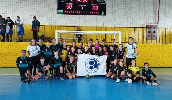 Palmeira sedia etapa estadual de Campeonato Paranaense de Handebol