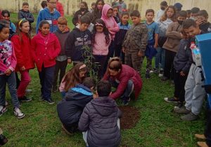Conscientização: Rotary faz o plantio de árvores com alunos e professores