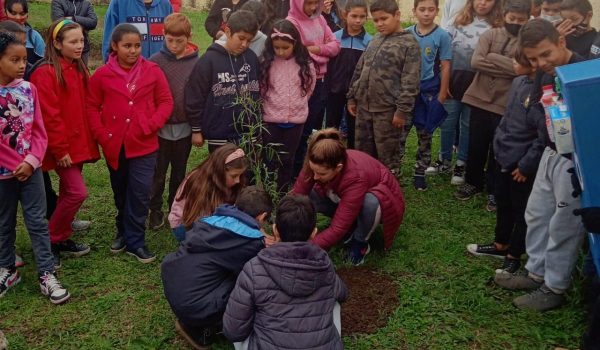 Conscientização: Rotary faz o plantio de árvores com alunos e professores