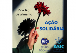 Grupo NS Carmo promove ação em prol da ASIC