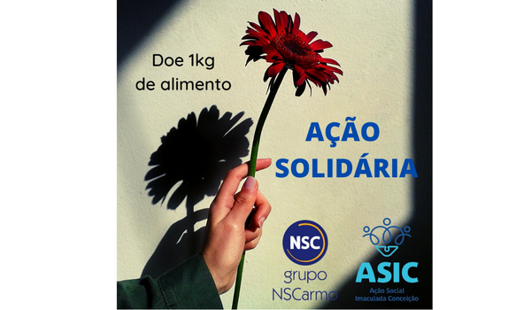 Grupo NS Carmo continua recebendo doações em prol da ASIC, saiba como doar