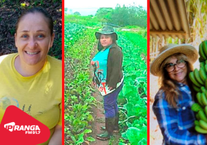 No Dia Internacional das Mulheres Rurais, agricultoras comentam sobre suas trajetórias no campo