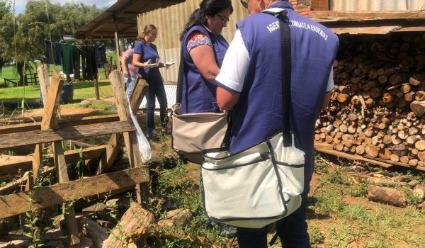 Inseto transmissor da  Doença de Chagas é encontrado em área rural, divulga Município