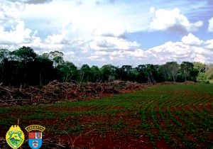 Polícia Ambiental autua propriedade no interior de Palmeira em R$ 81 mil reais