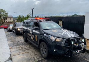 Polícia Civil realizou ação de combate ao narcotráfico em Palmeira nesta sexta-feira (17)