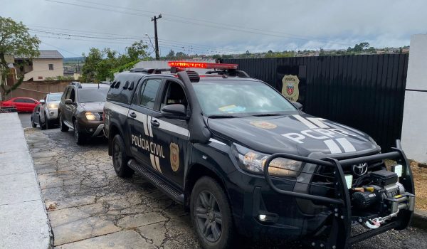 Polícia Civil realizou ação de combate ao narcotráfico em Palmeira nesta sexta-feira (17)