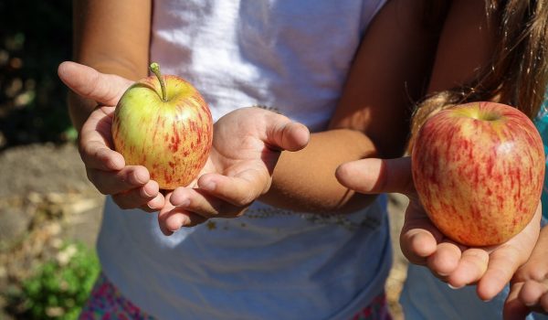 Nutricionista dá dicas de lanches saudáveis para as crianças durante o recreio