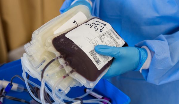 Doar sangue é um ato de solidariedade e amor ao próximo, saiba como fazer a doação no Paraná